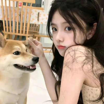 爱爱囧事封面