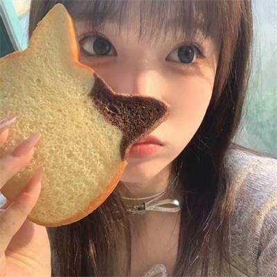 败家仔封面